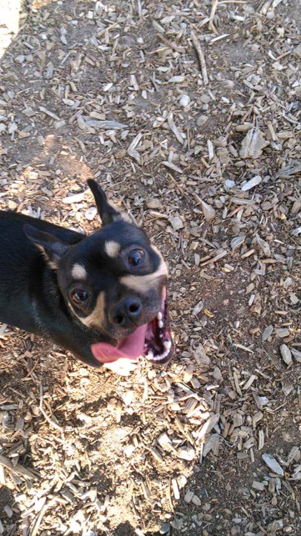 /Images/uploads/Humane Society of Utah/HSUCalendar/entries/992thumb.jpg